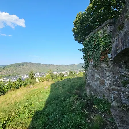 Little Rhine View Chateau - Harry * Boppard