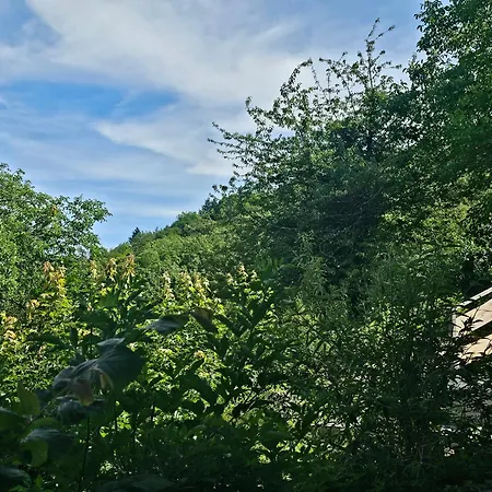 Apartamento Little Rhine View Chateau - Harry