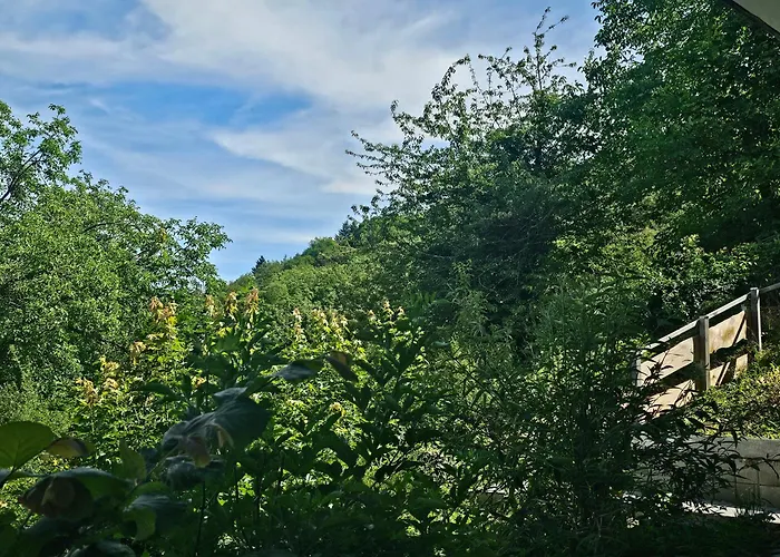 公寓 Little Rhine View Chateau - Harry