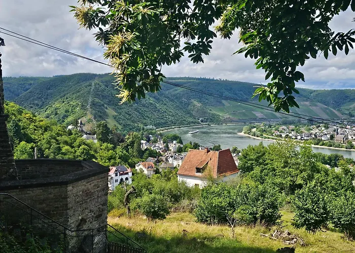 Little Rhine View Chateau - Harry